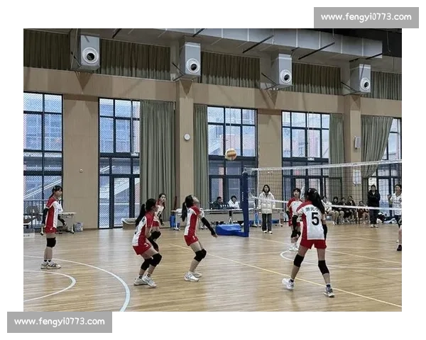 排球冠军赛场荣耀之路精彩瞬间全纪录